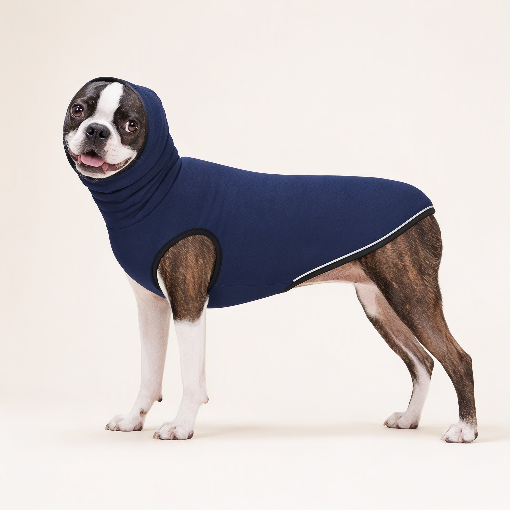 PupHug Calming Storm Vest